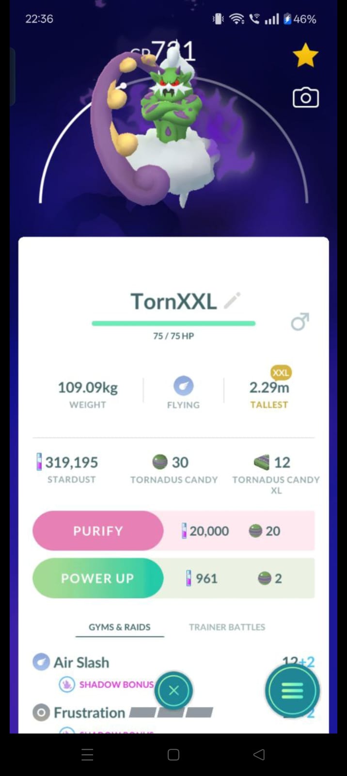 Pokémon GO Shadow TornXXL